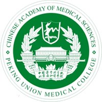 玩球体育